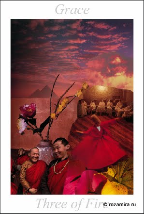 Nature Tarot by Jan Strube